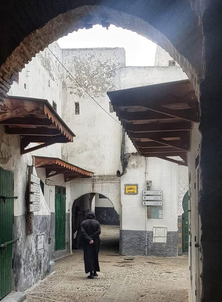 whatsapp image 2025 11 26 at 16.38.57 (12)