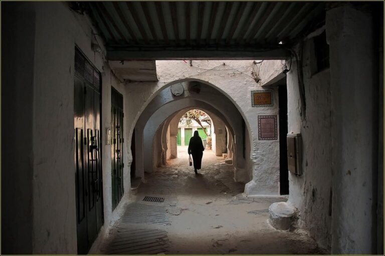 whatsapp image 2025 11 26 at 16.38.57 (13)