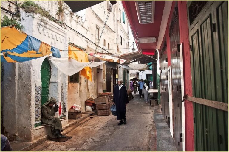 whatsapp image 2025 11 26 at 16.38.57 (15)