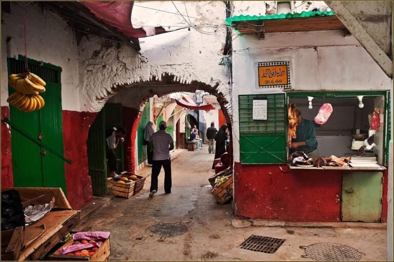 whatsapp image 2025 11 26 at 16.38.57 (16)