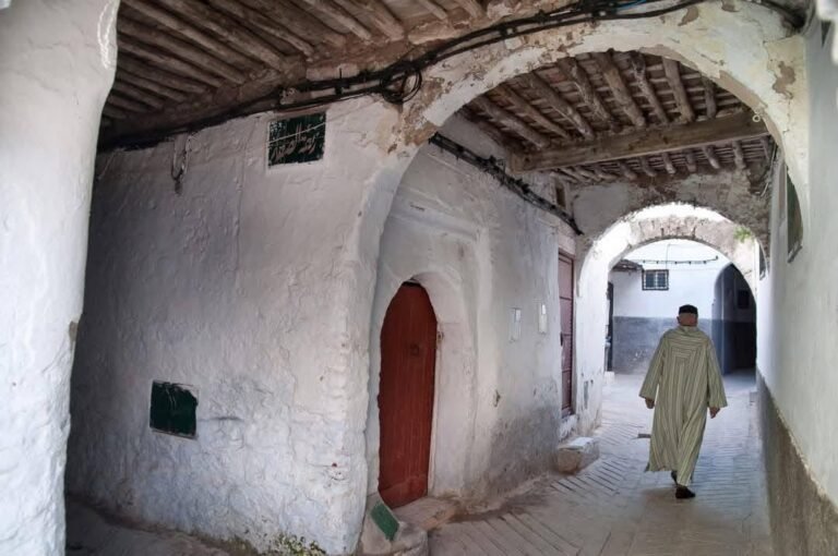 whatsapp image 2025 11 26 at 16.38.57 (18)