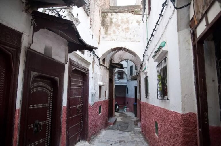 whatsapp image 2025 11 26 at 16.38.57 (19)