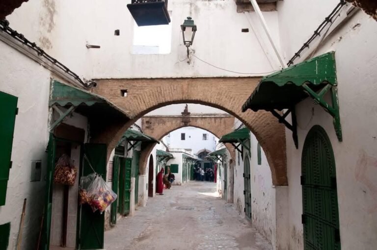 whatsapp image 2025 11 26 at 16.38.57 (20)