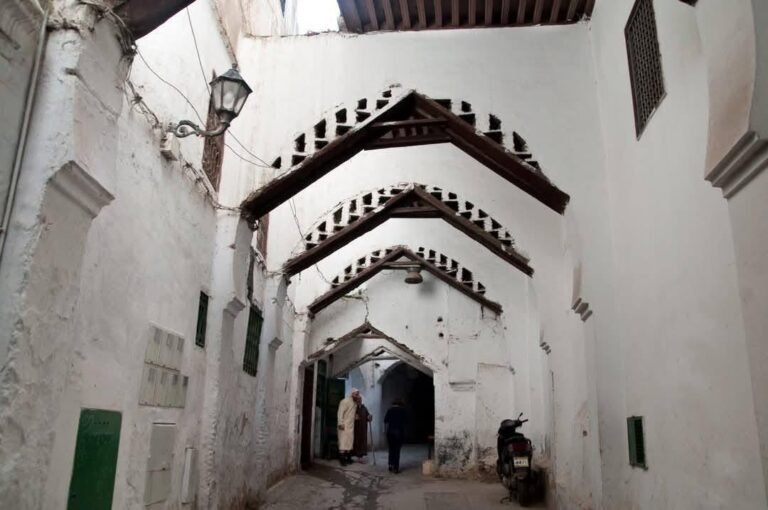 whatsapp image 2025 11 26 at 16.38.57 (21)