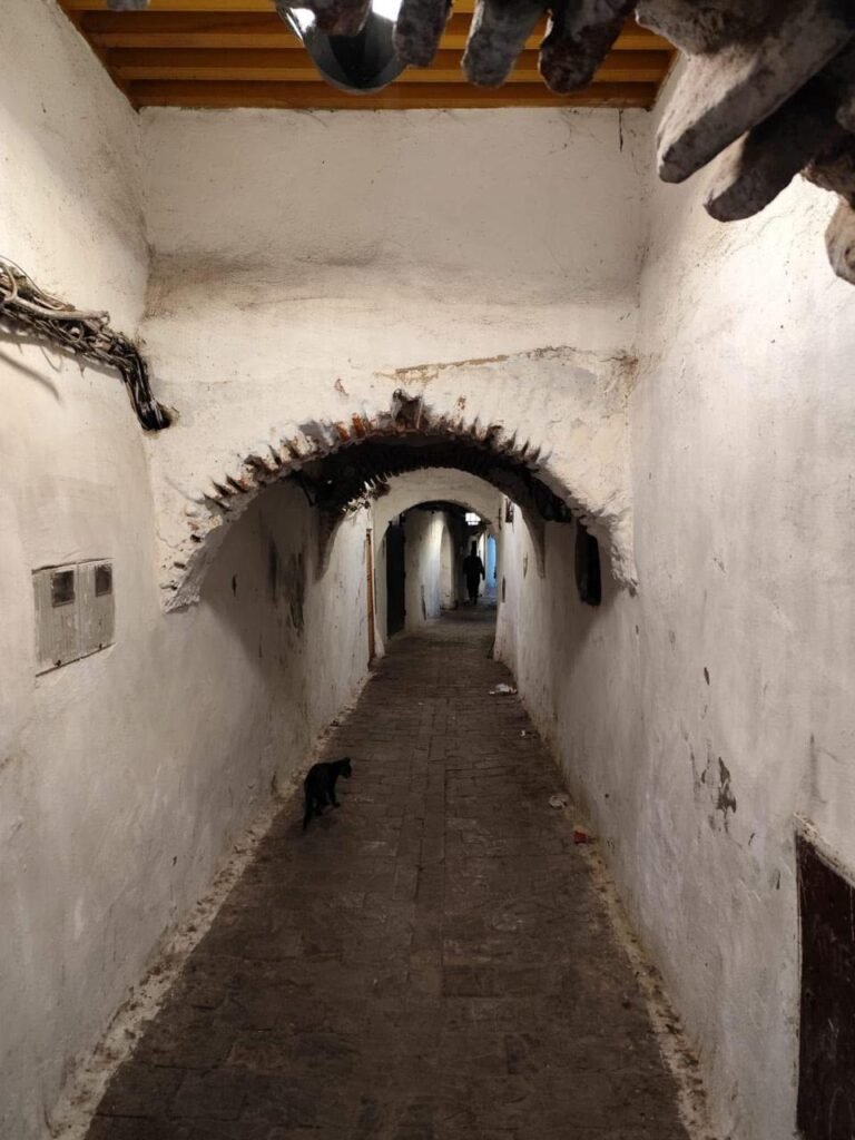 whatsapp image 2025 11 26 at 16.38.57 (22)