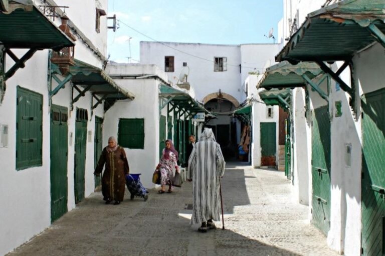 whatsapp image 2025 11 26 at 16.38.57 (4)