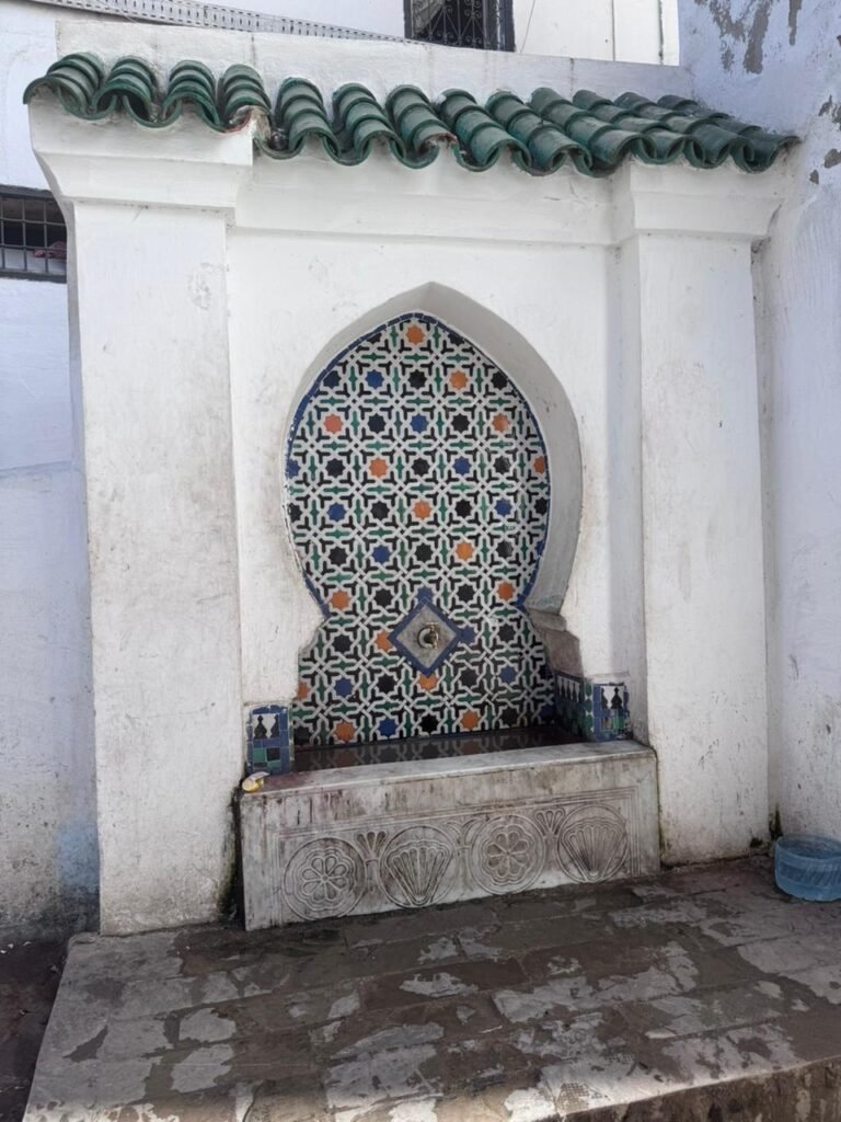 whatsapp image 2025 11 27 at 14.50.43 (1)