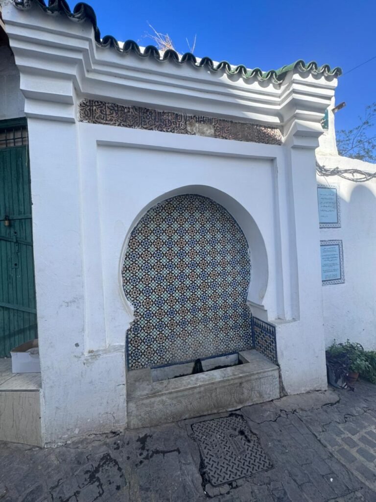 whatsapp image 2025 11 27 at 14.50.43 (3)