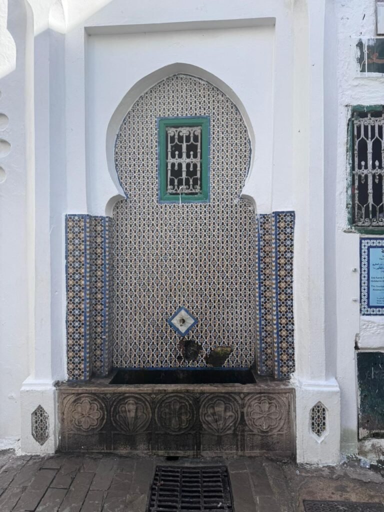 whatsapp image 2025 11 27 at 14.50.44 (1)