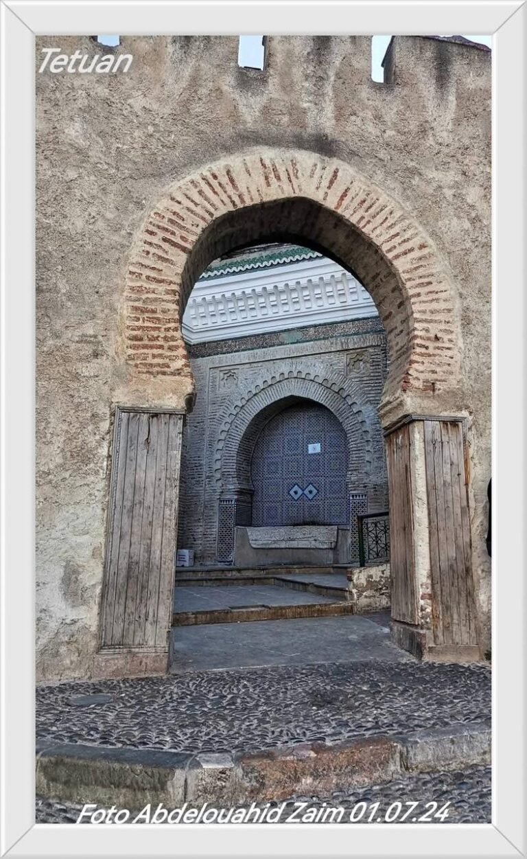 whatsapp image 2025 11 27 at 14.50.44 (3)