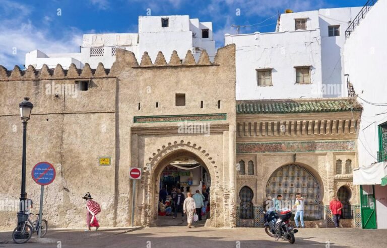 whatsapp image 2025 11 27 at 14.50.44 (5)