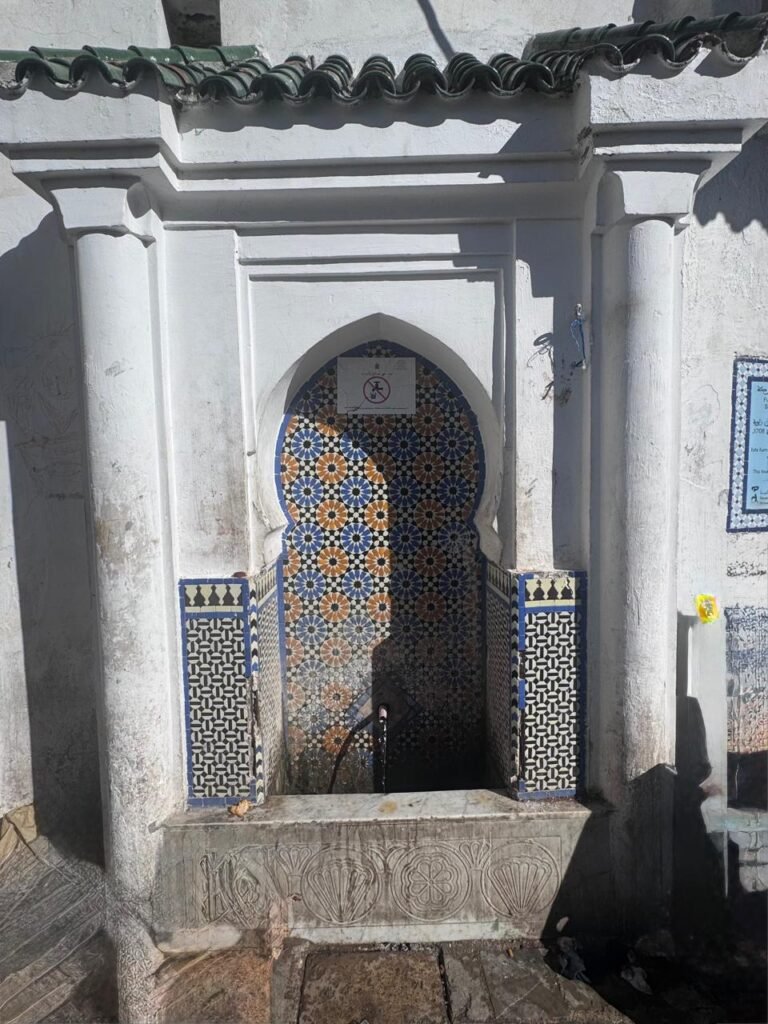 whatsapp image 2025 11 27 at 14.54.08