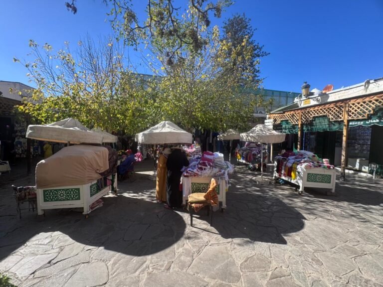 whatsapp image 2025 11 27 at 15.38.24 (1)