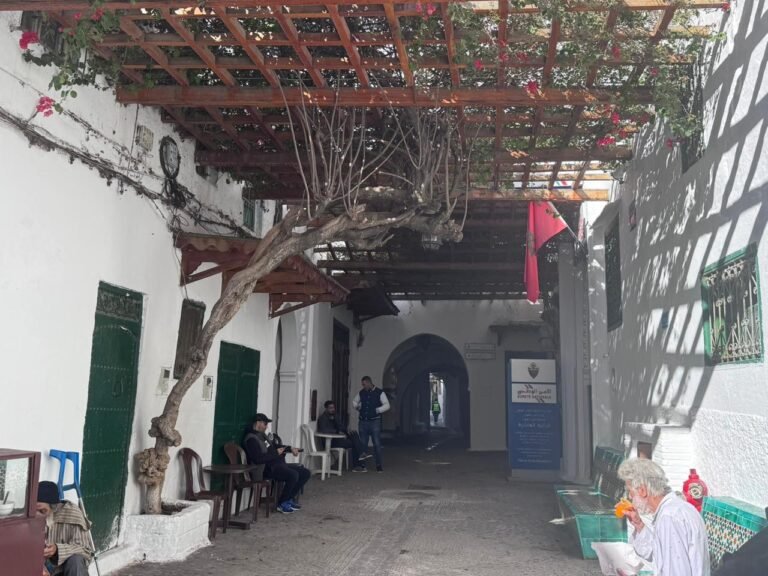 whatsapp image 2025 11 27 at 15.38.24 (2)