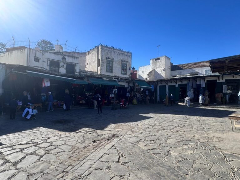 whatsapp image 2025 11 27 at 15.38.24 (4)