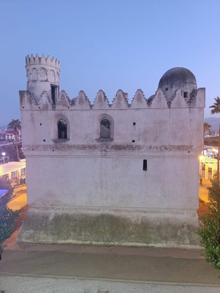 whatsapp image 2025 11 28 at 14.28.09 (1)