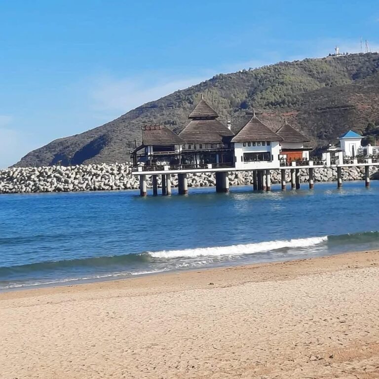 whatsapp image 2025 11 28 at 15.04.31 (1)