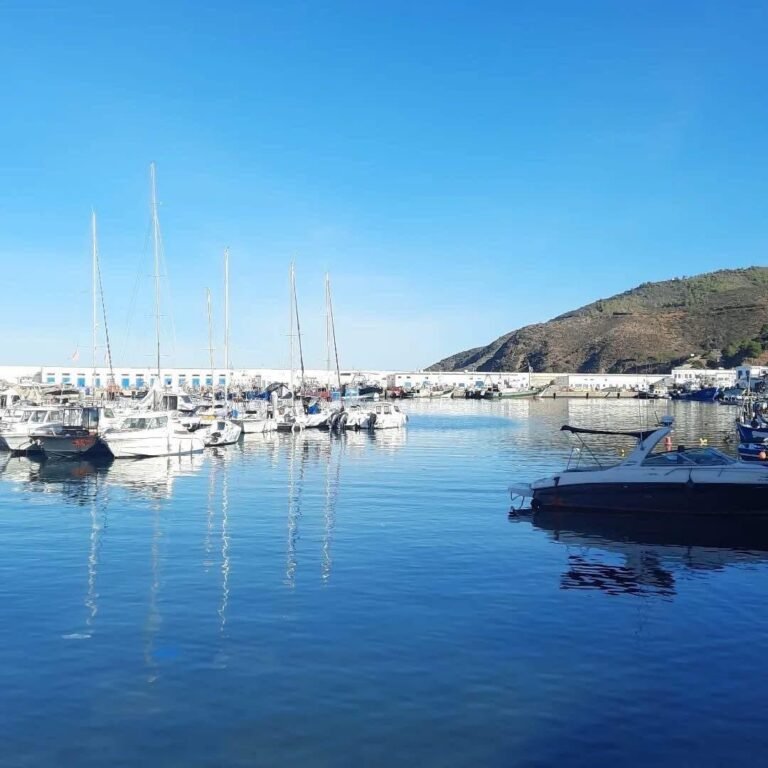 whatsapp image 2025 11 28 at 15.04.31 (2)