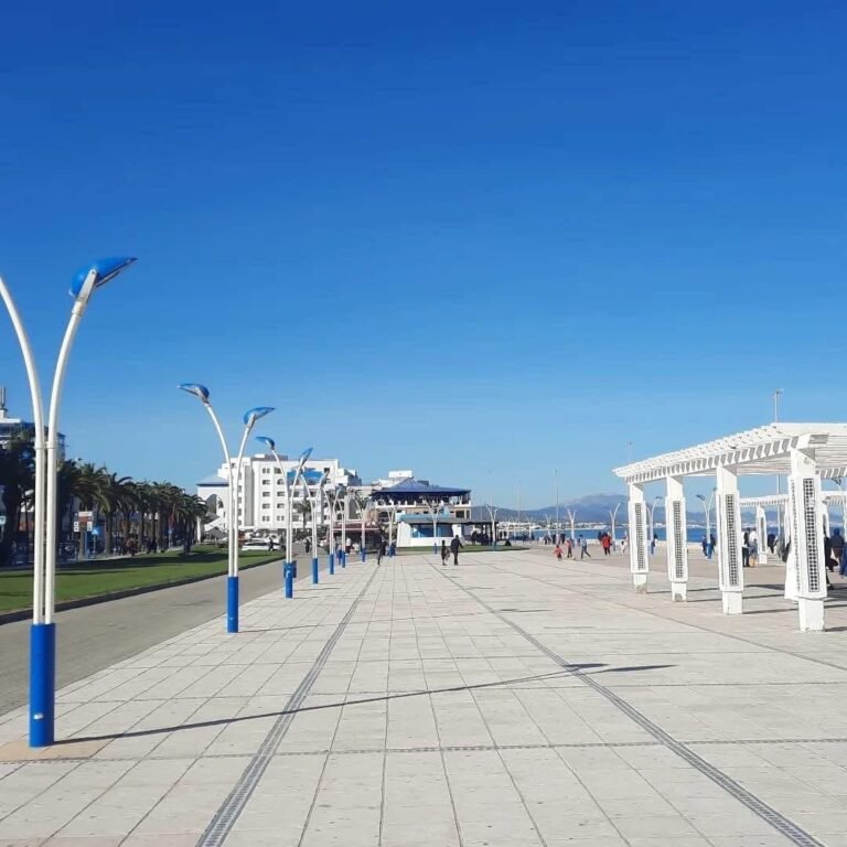 whatsapp image 2025 11 28 at 15.04.31 (3)