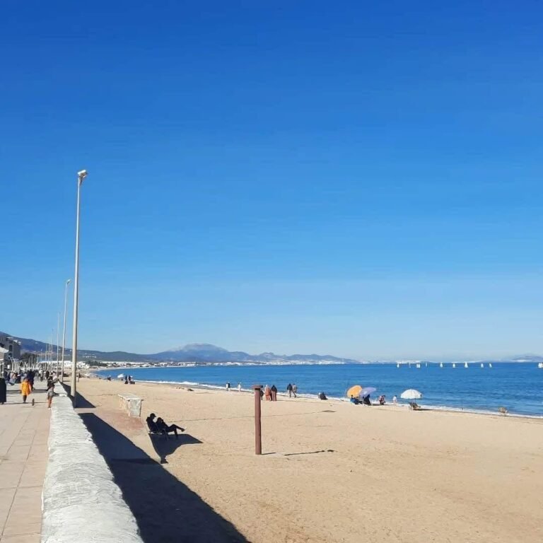 whatsapp image 2025 11 28 at 15.04.31 (4)