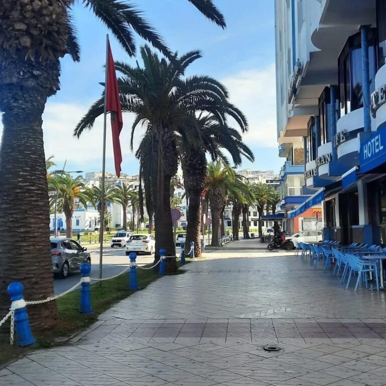 whatsapp image 2025 11 28 at 15.04.31 (5)