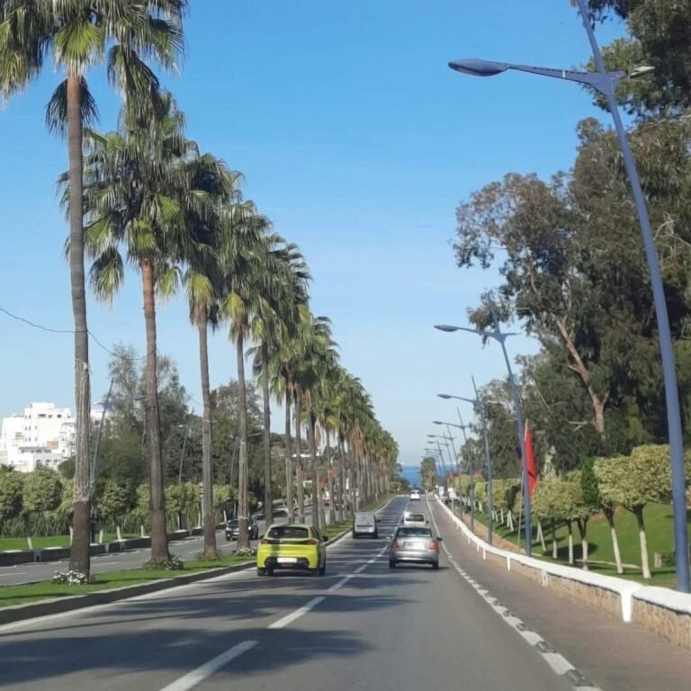 whatsapp image 2025 11 28 at 15.04.31 (6)