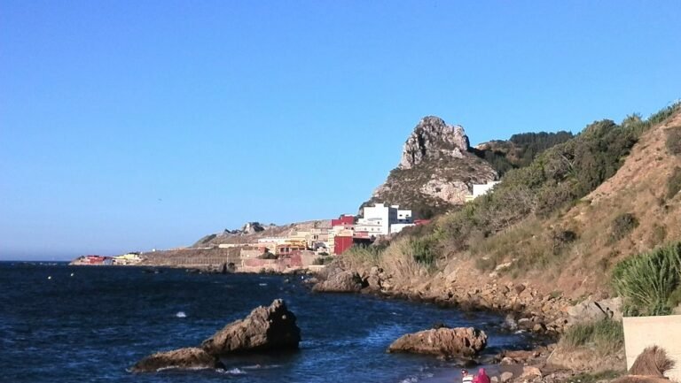 c7d6685e d8f0 43a9 ad48 708dd101834c lg