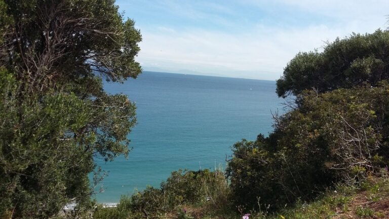 e9530dba d331 470d b8ed fb648ee7ef51 lg